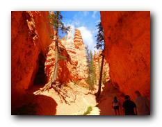 Bryce Canyon NP 40.jpg